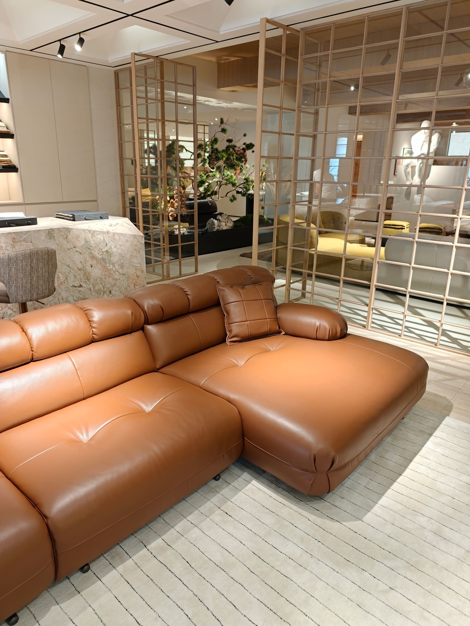 Modern Modular Leather Sectional Sofa with Chaise HD2442B 5