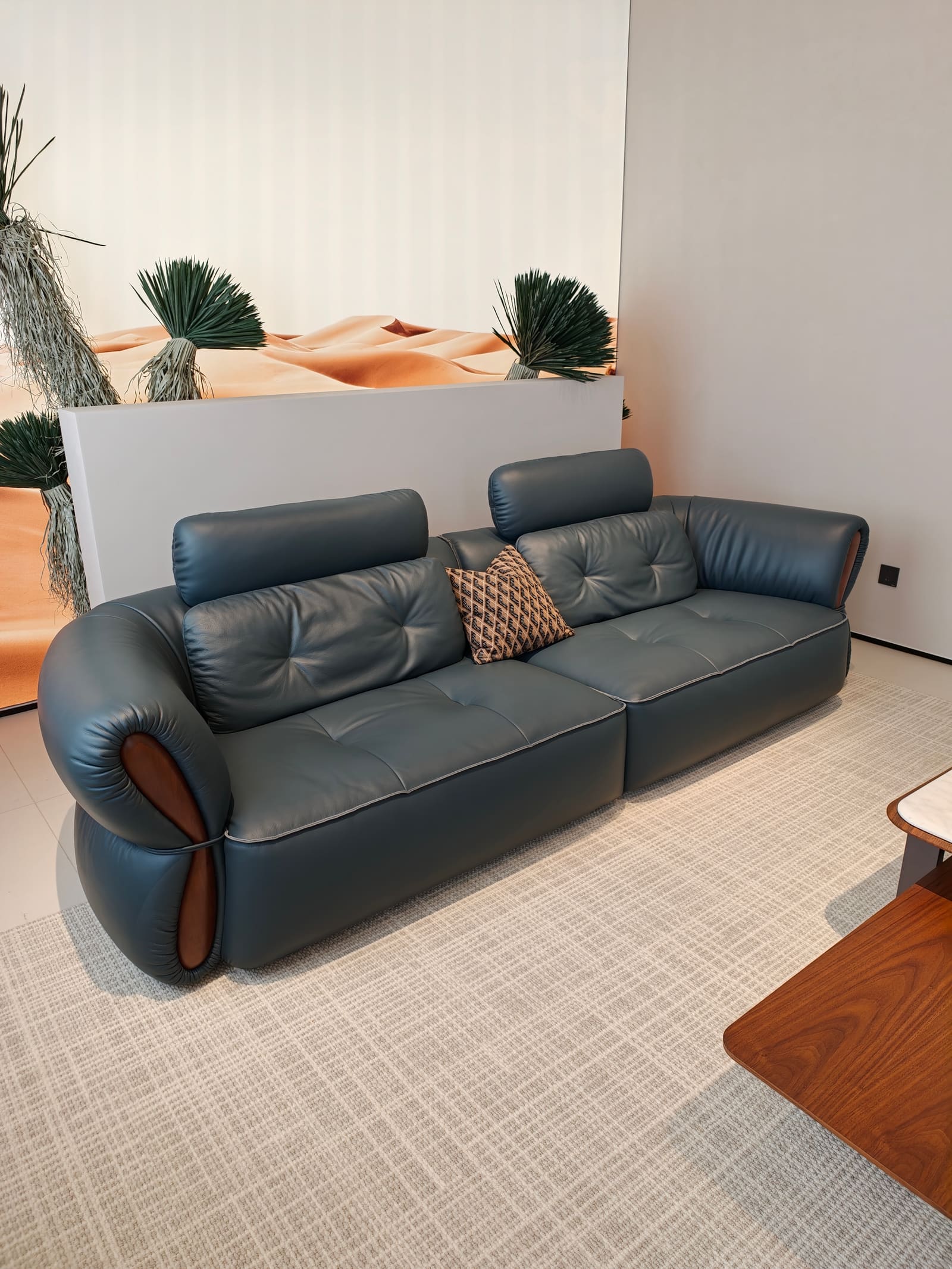 Contemporary Top-Grain Leather Two-Piece Sofa HD2454