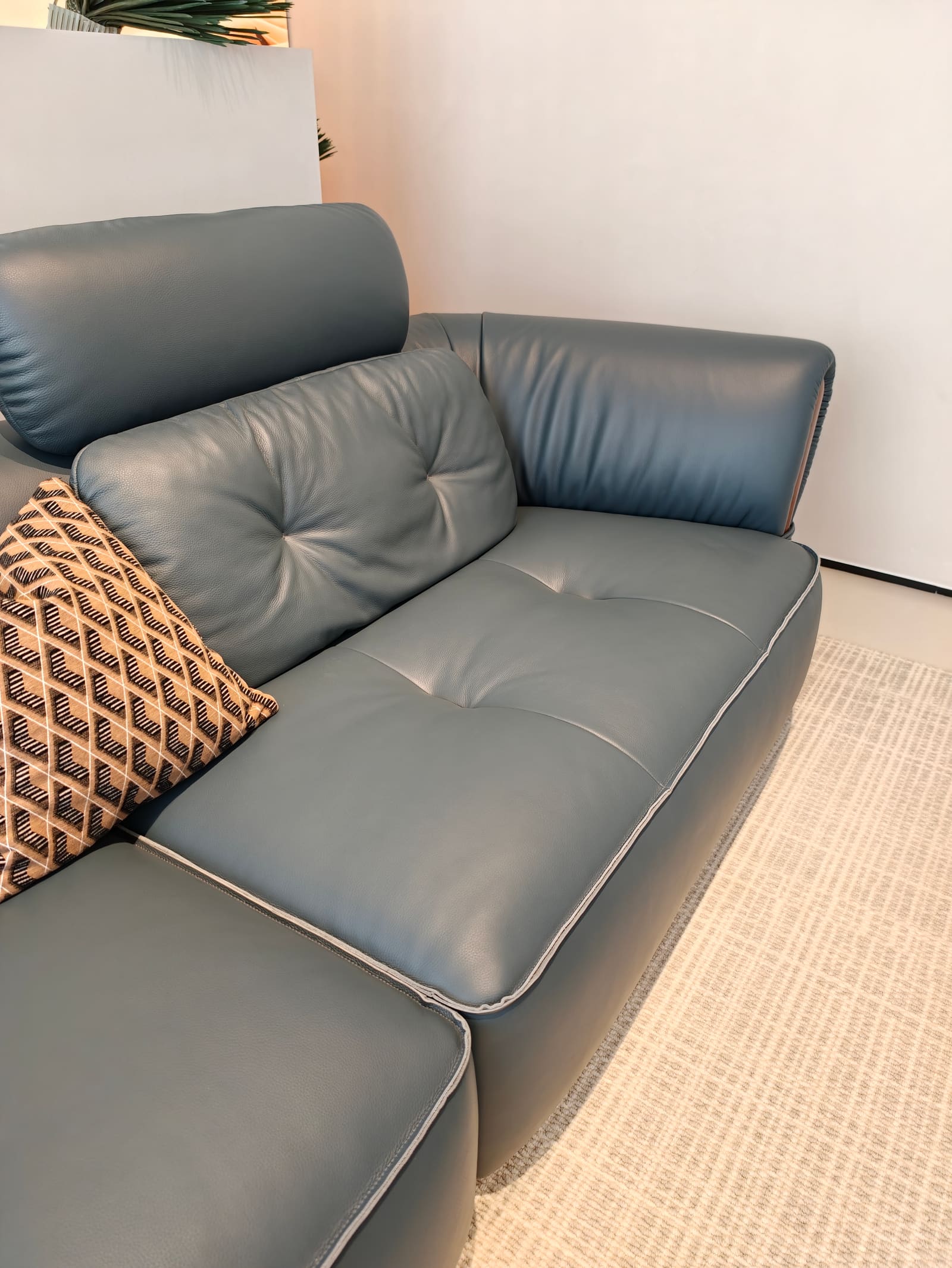 Contemporary Top-Grain Leather Two-Piece Sofa HD2454 6
